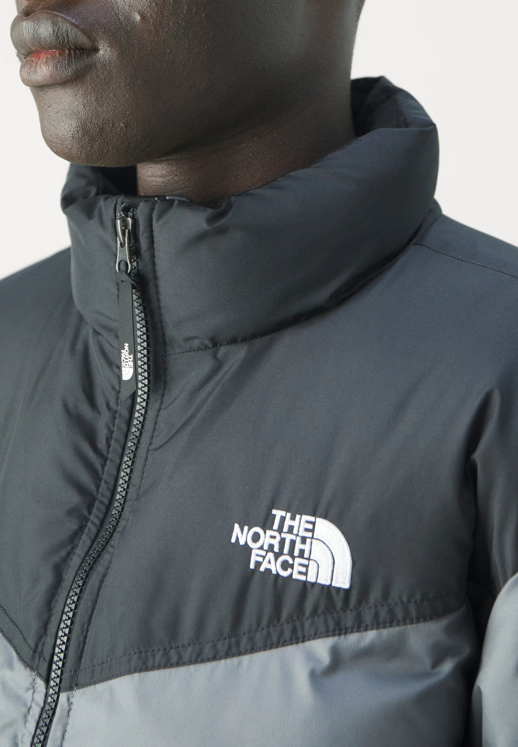 GIUBBOTTO 1996 RETRO NUPTSE THE NORTH FACE