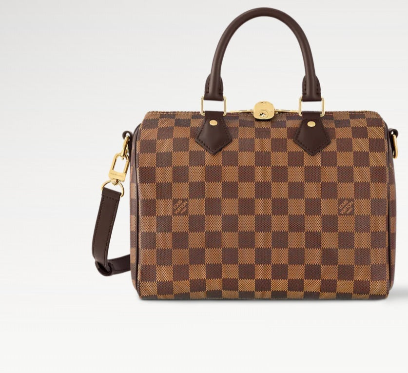 Borsa Louis Vuitton Speedy 25 cm